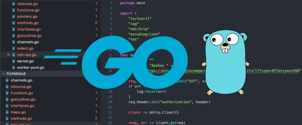 Melhores Linguagens de Programação Para Aprender em 2021 GO 1024x427 - Melhores Linguagens de Programação Para Aprender em 2021